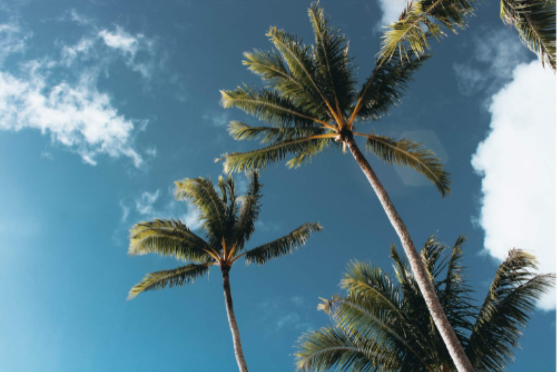 Design ohne Titel (27)